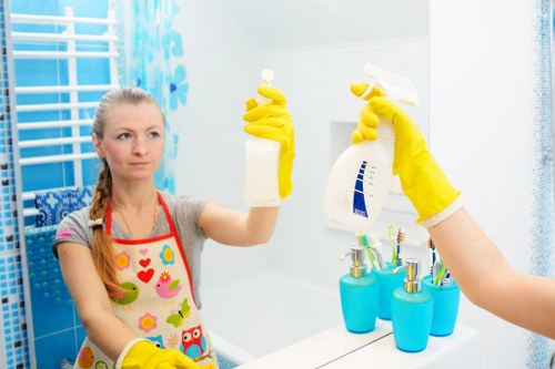 Professional pet stain and odour removal service in an Elephant and Castle home
