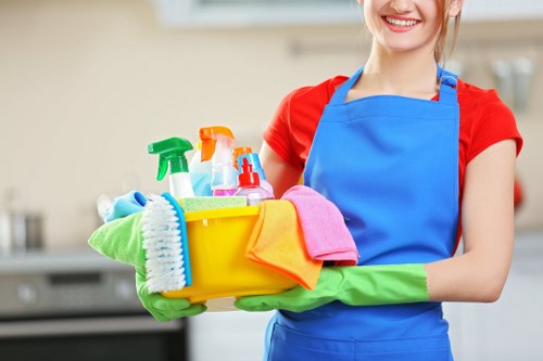 Professional end of tenancy cleaning for a flat in Elephant and Castle