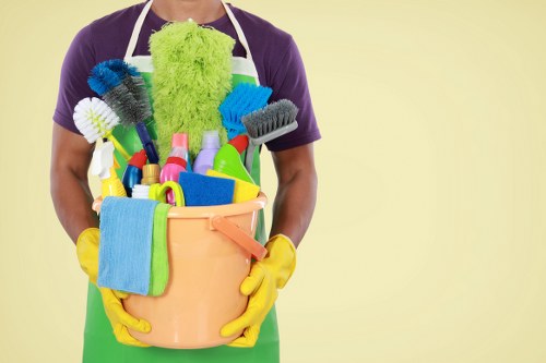 Regular cleaning for homes and flats in Elephant and Castle
