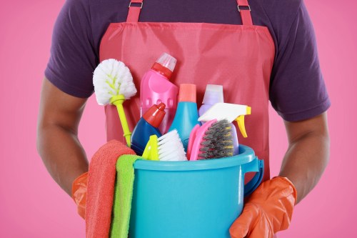 Professional oven cleaning service for homes in Elephantandcastle