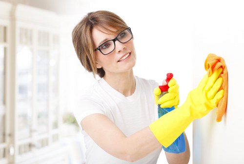 Carpet cleaning scene in Elephant and Castle home interior