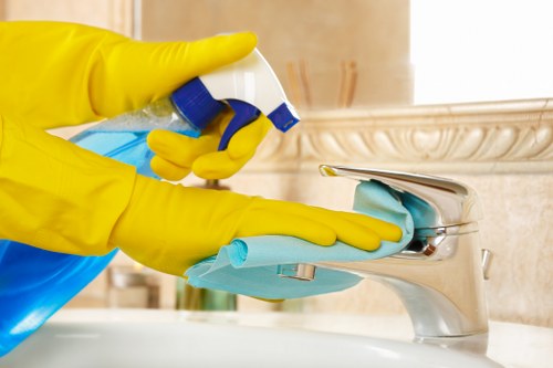 Thorough end of tenancy cleaning for a home in Elephant and Castle