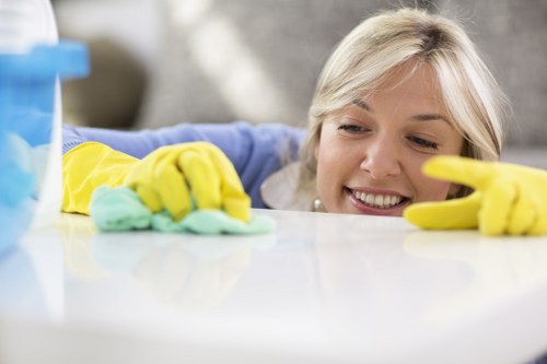 One off cleaning for a modern apartment near Elephant and Castle station