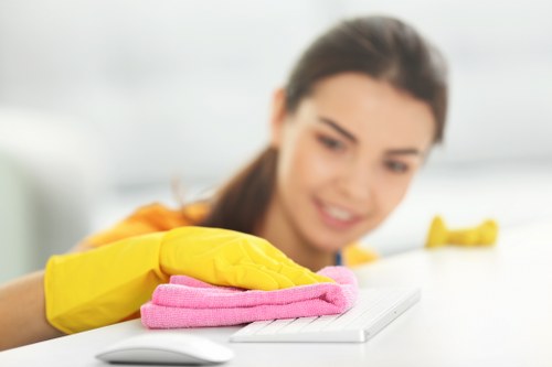 Professional carpet cleaning team following safety standards