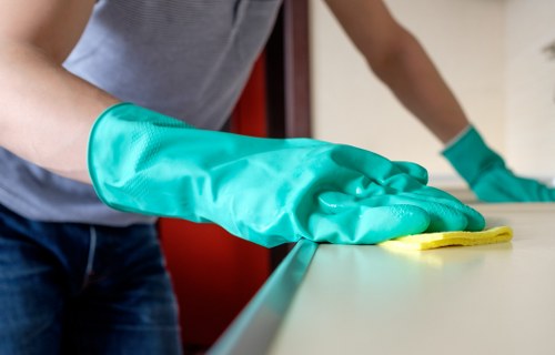 Steam carpet cleaning and stain removal