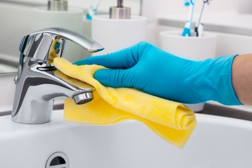 Bathroom deep cleaning service for a property in Elephant and Castle