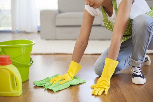 Targeted deodorising and stain removal for a pet accident in a residential room