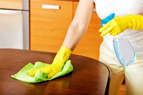 Local technician treating lingering pet smells in an Elephant and Castle property
